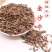 金沙牛广西野生中药材金砂牛虫蚁狮地牯牛倒退虫水洗金沙牛