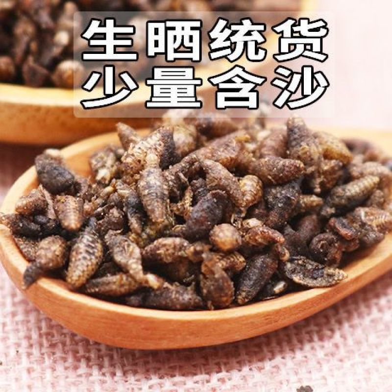 金沙牛广西野生中药材金砂牛虫蚁狮地牯牛倒退虫水洗金沙牛