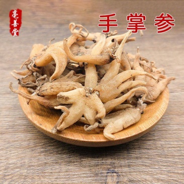 中药材手掌参野生西藏佛手参西藏特产手儿参阴阳草100g