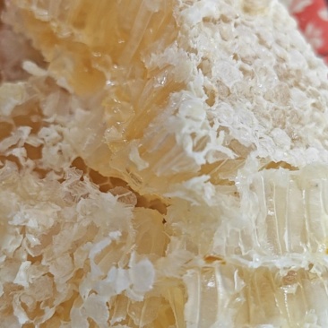 江西自家土蜂蜜