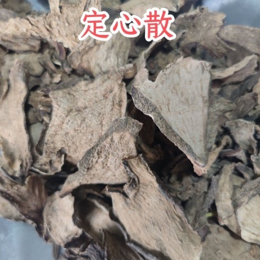 定心散中药材无硫新货莲座蕨观音座莲座蕨50克