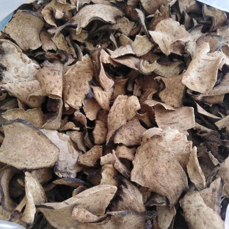 定心散中药材无硫新货莲座蕨观音座莲座蕨50克