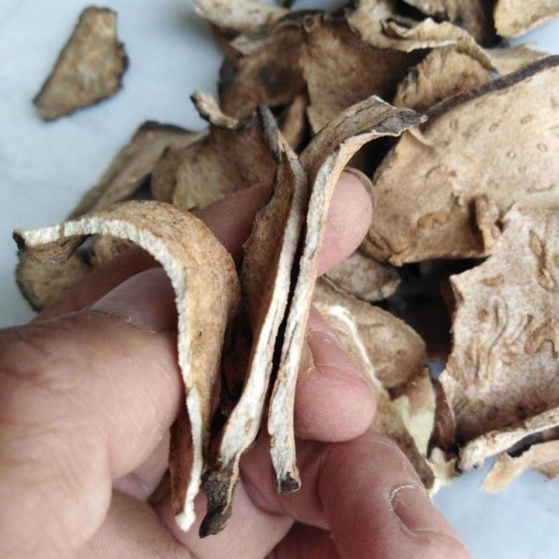定心散中药材无硫新货莲座蕨观音座莲座蕨50克