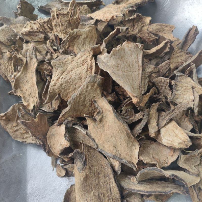 定心散中药材无硫新货莲座蕨观音座莲座蕨50克