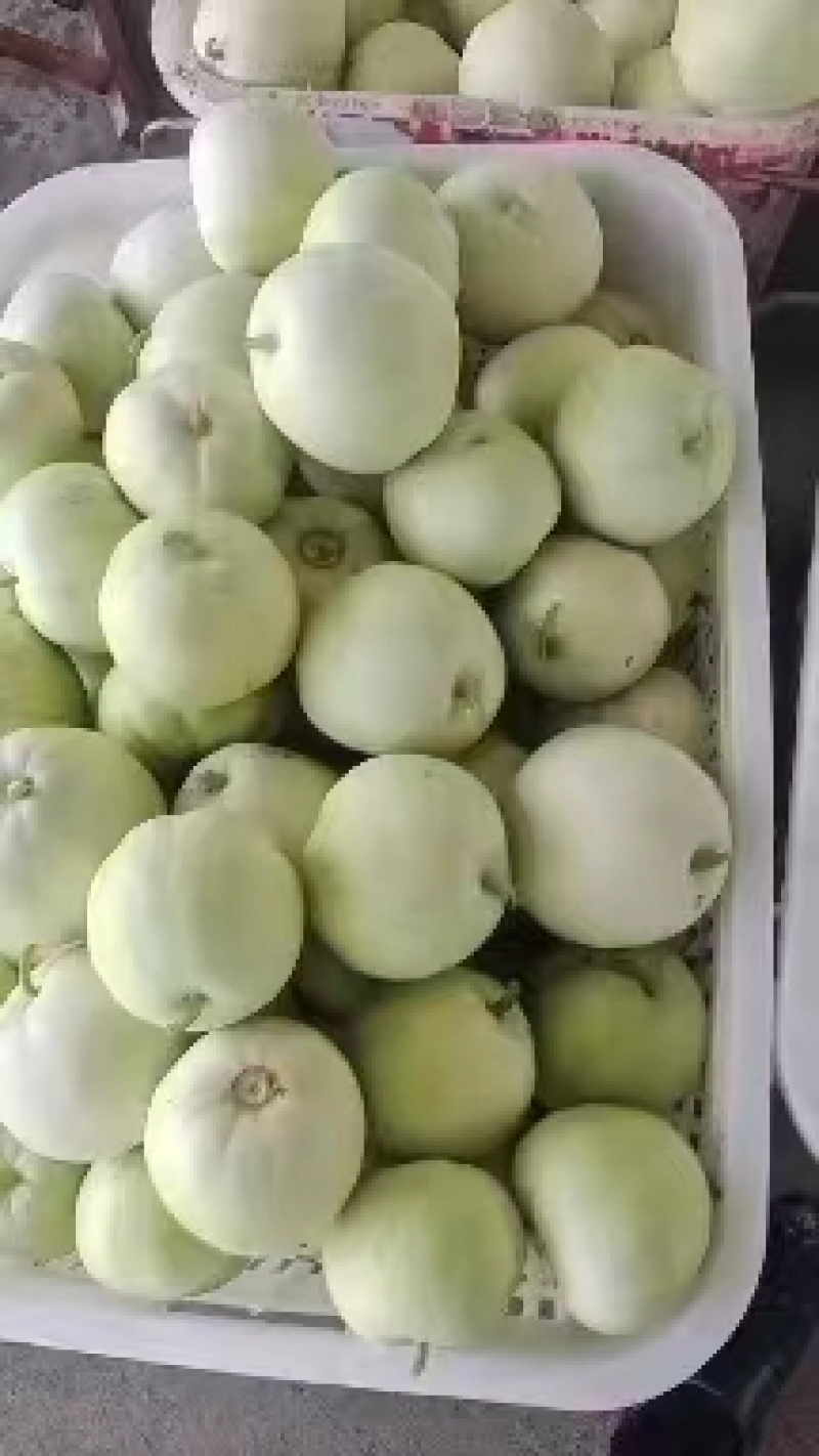 甜宝