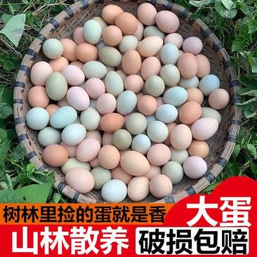 潜江土鸡蛋鲜鸡蛋散养土鸡蛋自家养殖保质保量