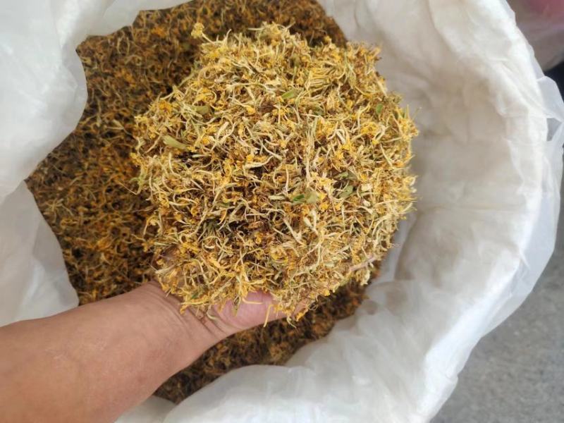 野生金银花贵州产地直发可常年供应无硫无杂质自然生晒
