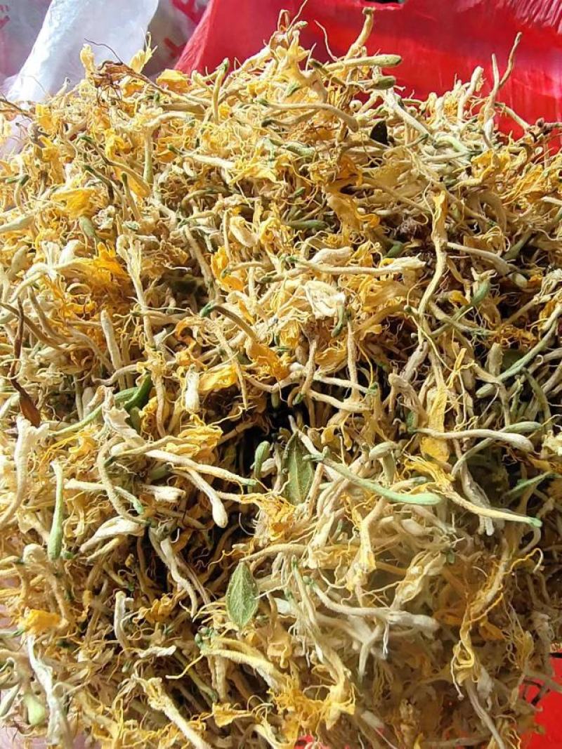 【基地直供】金银花贵州黔西南产地批发常年有货无硫无霉