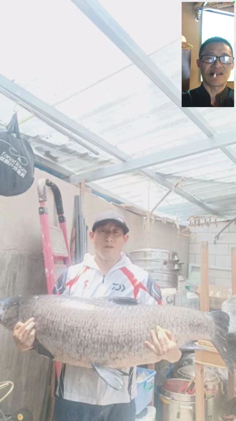 53斤的青鱼石