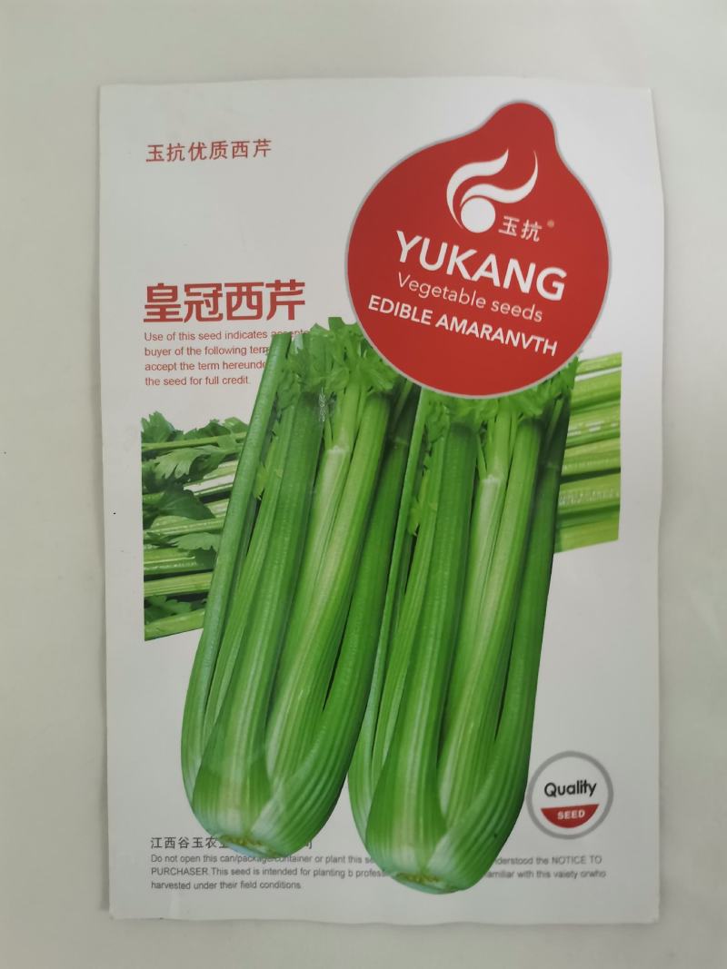 实心芹菜种一号菜种子实心香芹原装正品津南实芹菜种子原装