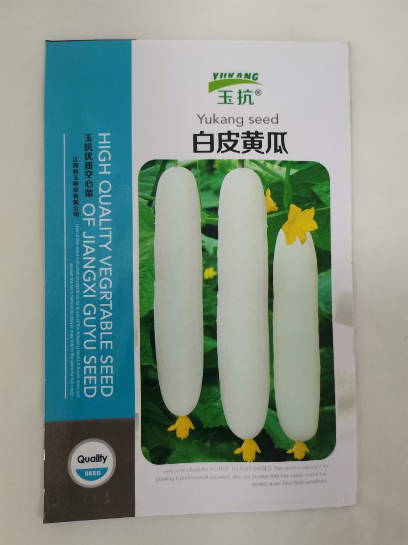 大白黄瓜种子高端白晶一号水果黄瓜白皮黄瓜奶油黄瓜种子清香