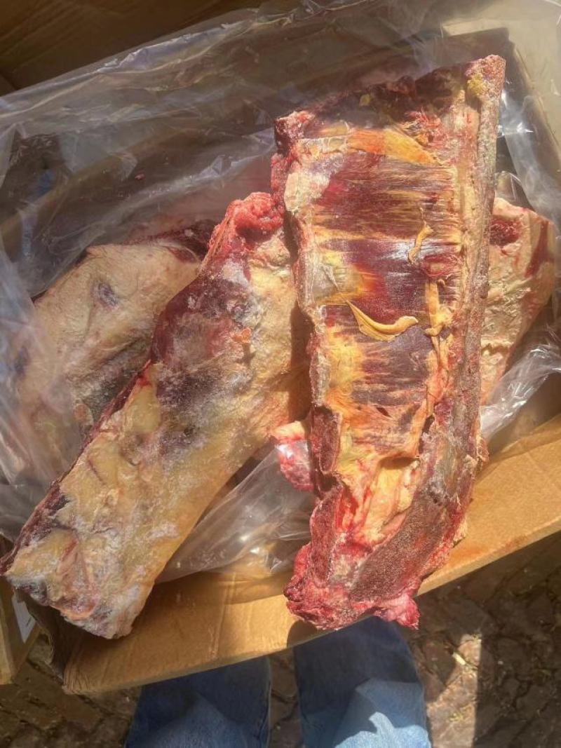 黄标牛小排全国各地发