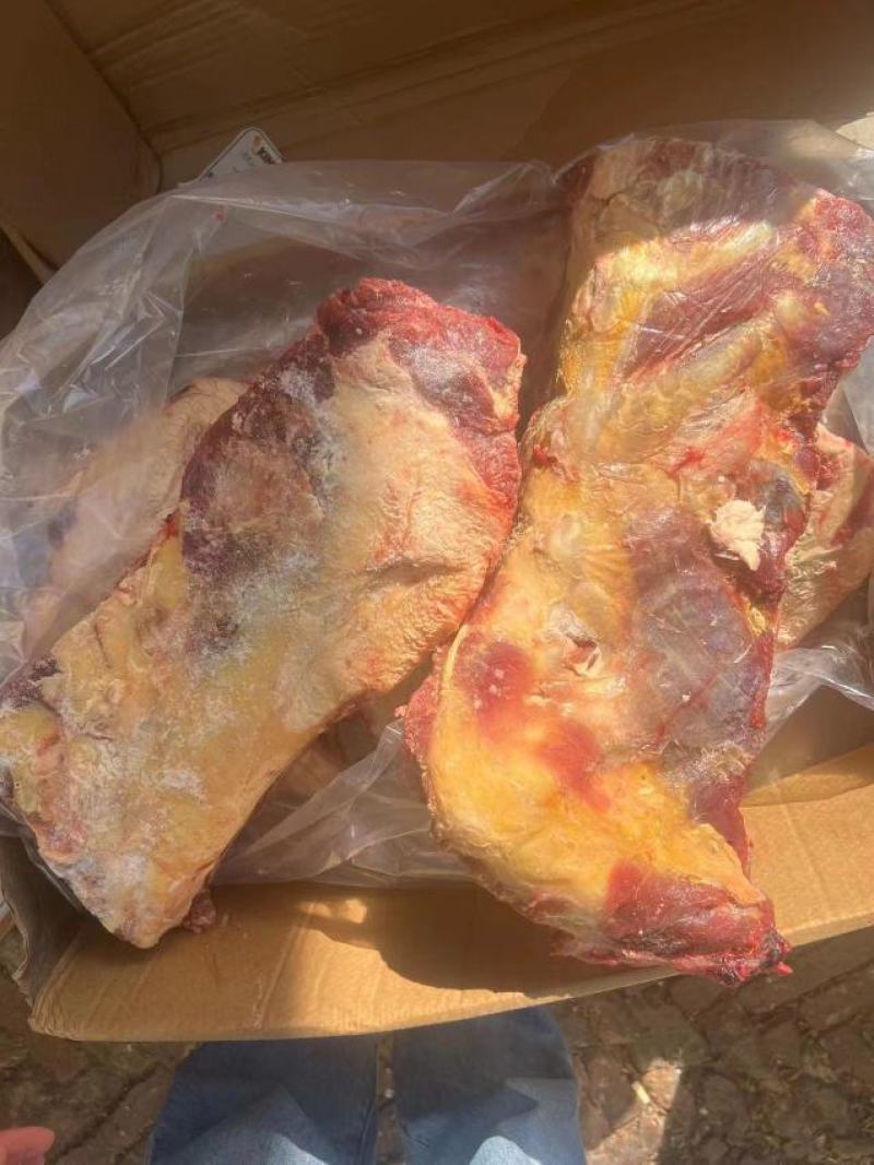 黄标牛小排全国各地发
