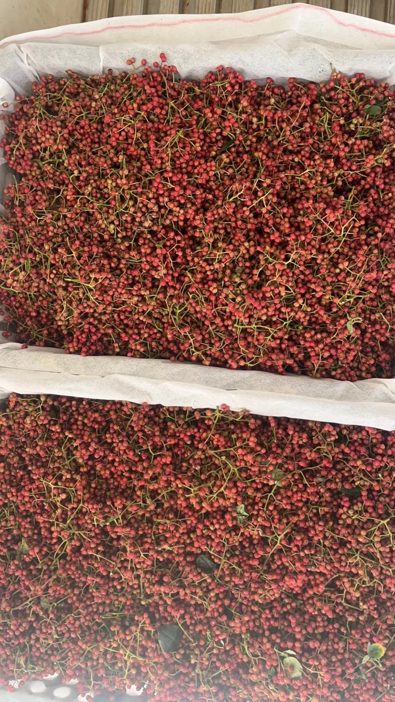 【实力】陕西现货干花椒青花椒（丑椒）源头供应可视频看货