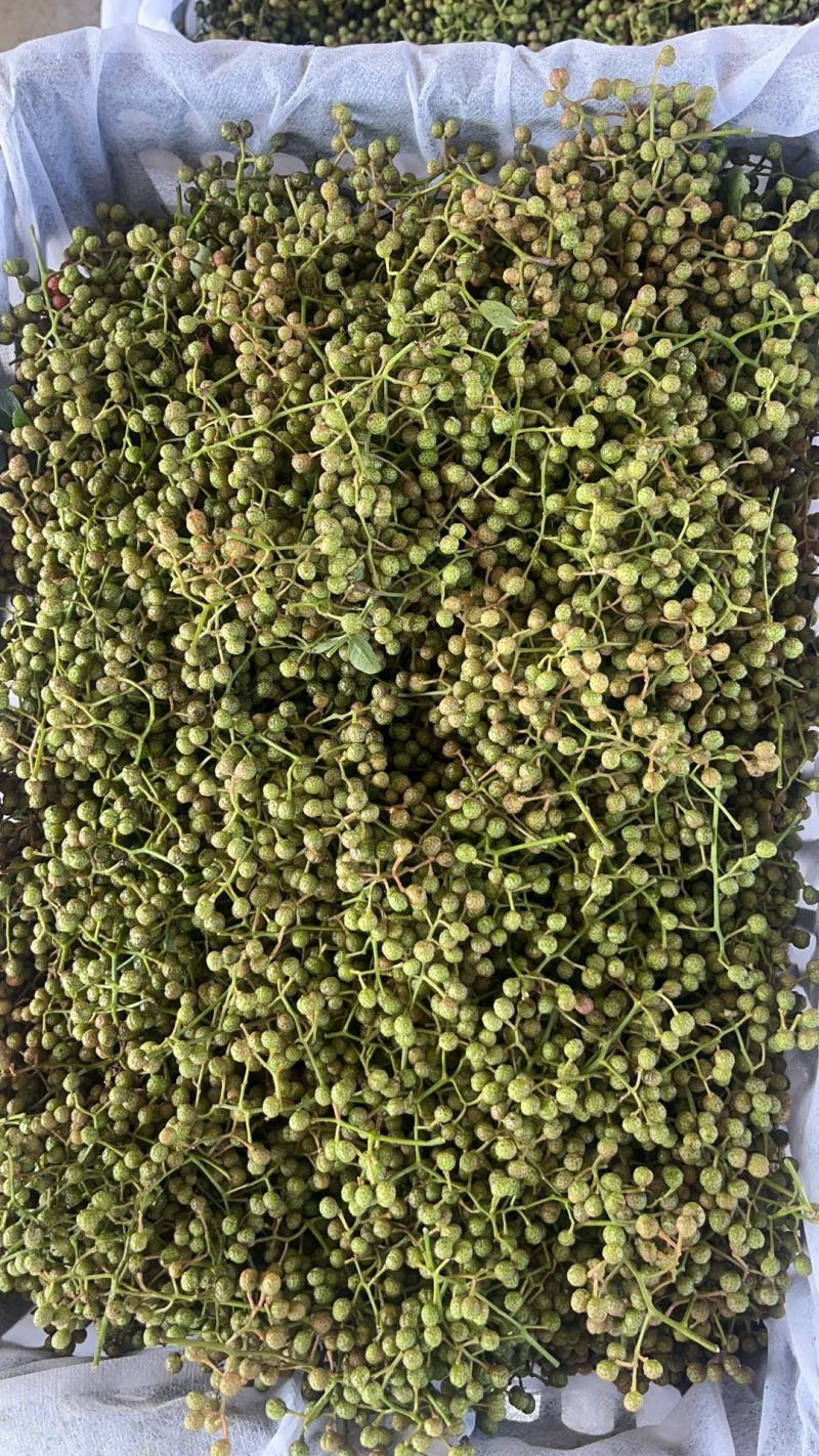 【实力】陕西现货干花椒青花椒（丑椒）源头供应可视频看货