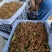 【实力】陕西现货干花椒青花椒(丑椒)源头供应可视频看货