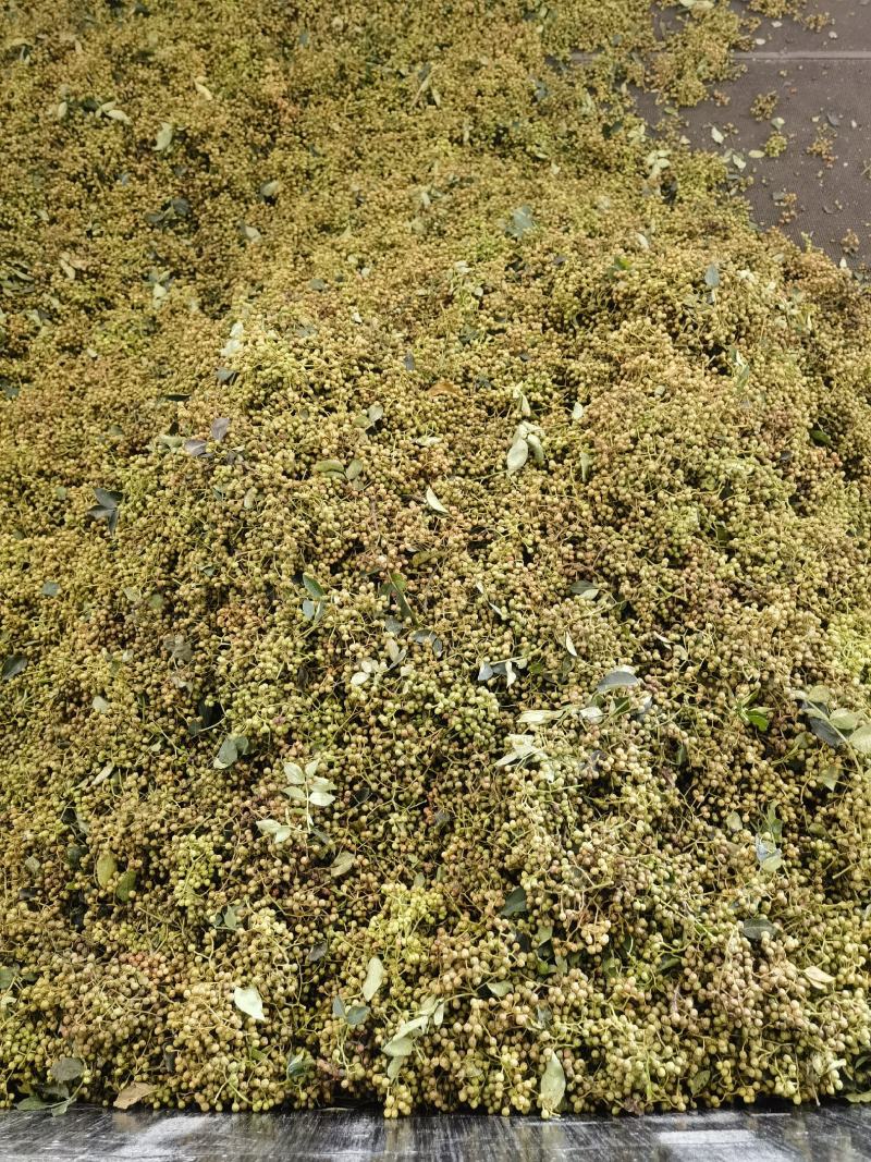 【实力】陕西现货干花椒青花椒（丑椒）源头供应可视频看货