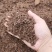 100%纯山茶粕，山茶枯，山茶麸。原头货源
