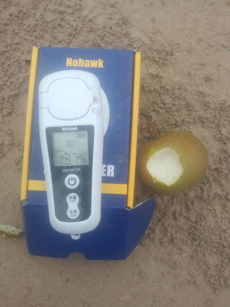 光果圆黄梨自家沙地种植自产自销走量，走量...