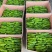 【推荐】薄皮辣椒基地直发品种齐全以质论价欢迎选购
