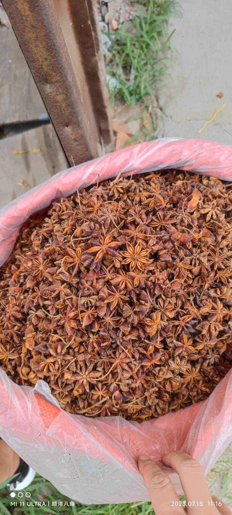 足干无硫水烫果八角