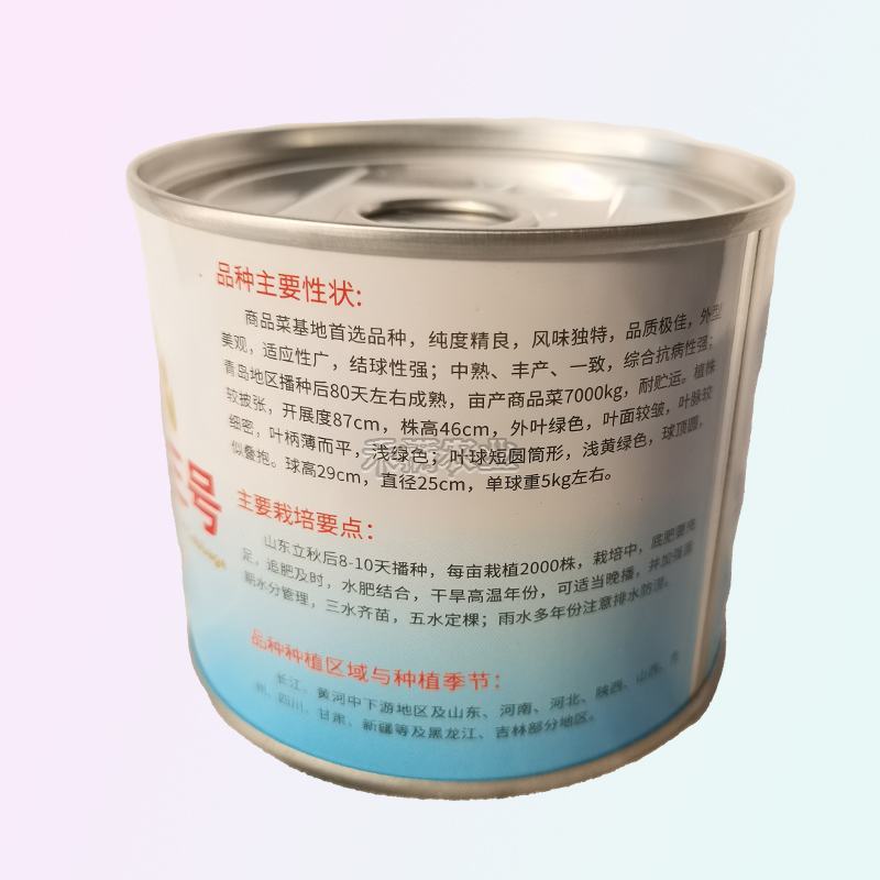 基地高端改良青杂三号大白菜种子耐寒秋冬储黄心庭院白菜蔬菜