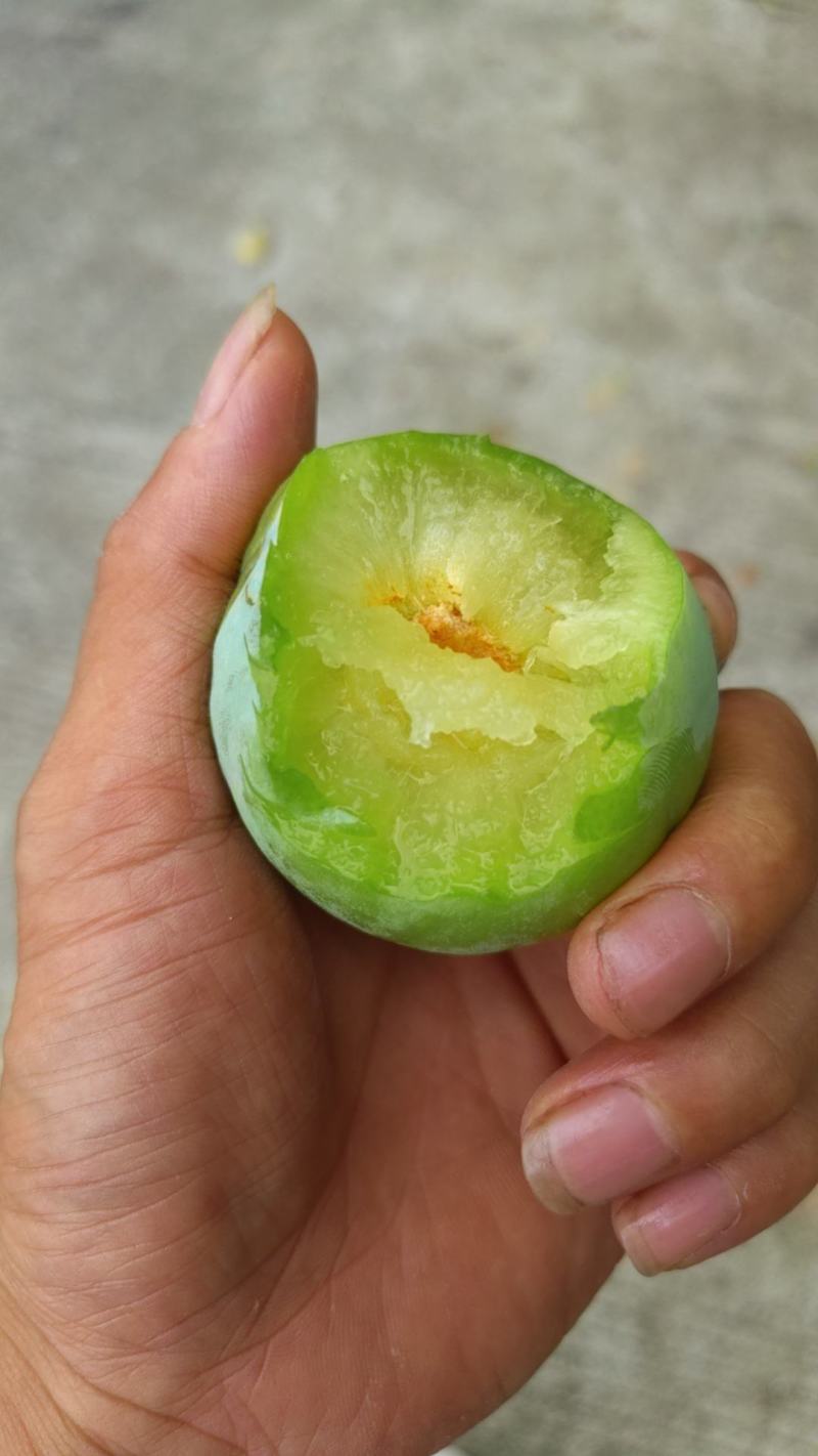 奈李，精品大果