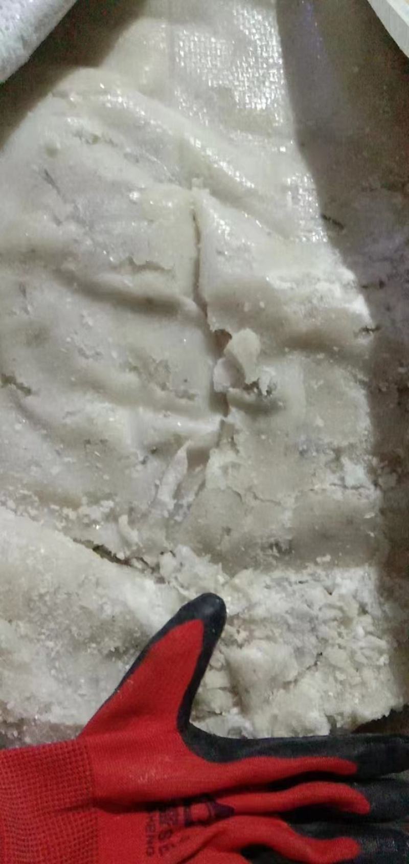 鳕鱼沫