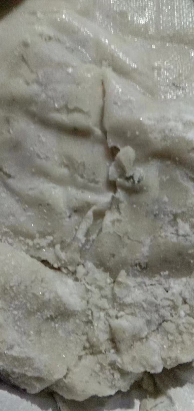 鳕鱼沫