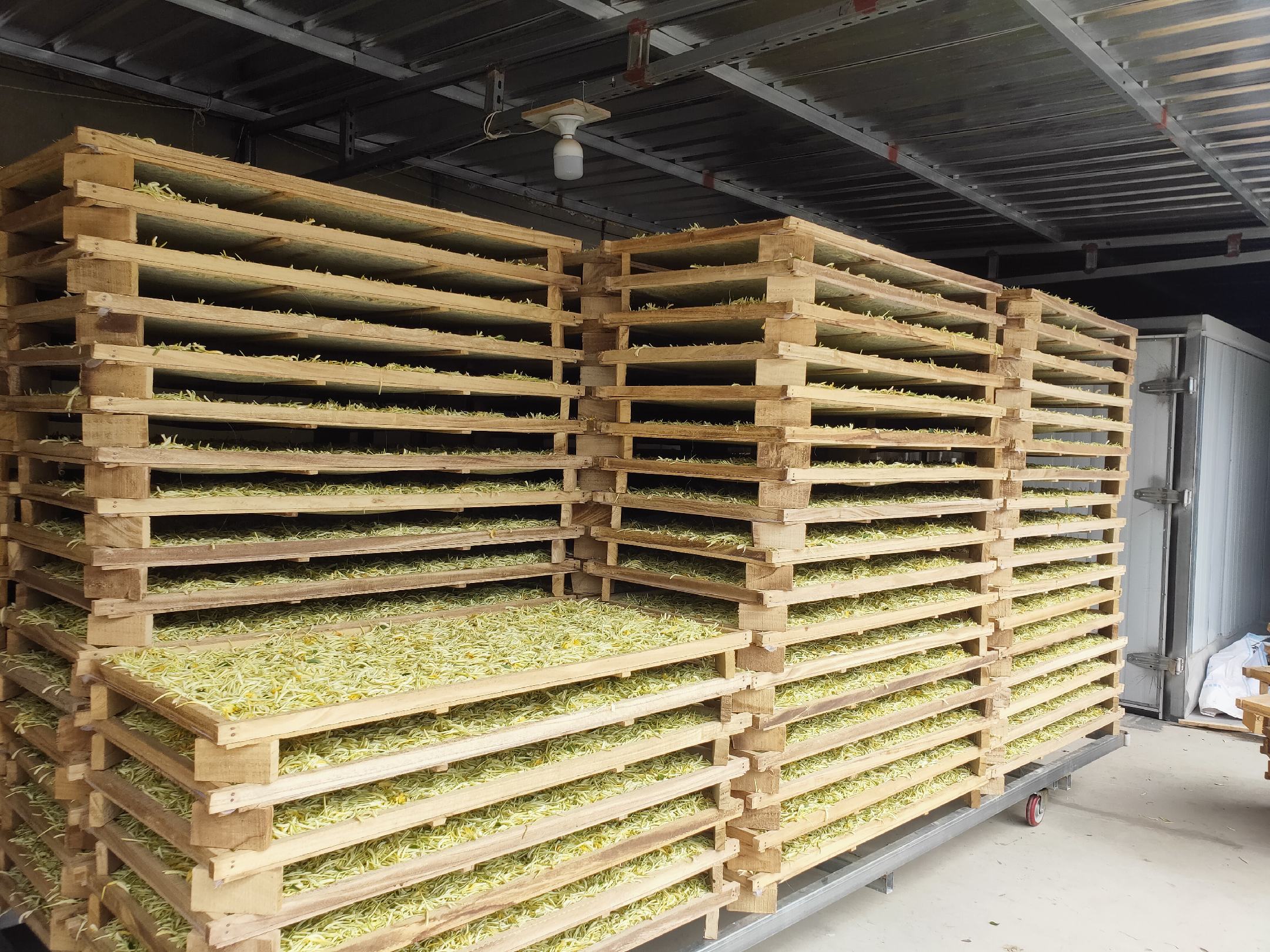 雪花梨储存方式示意图