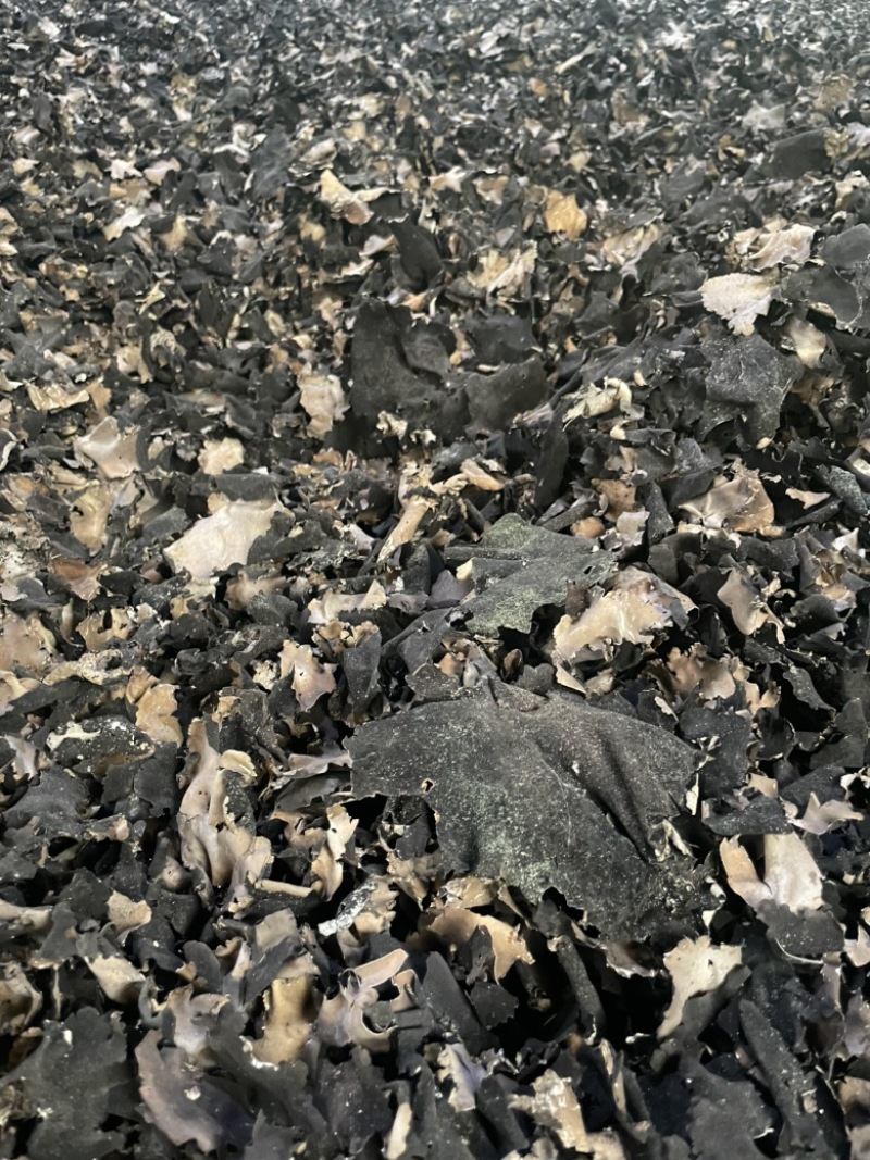 石耳、花皮、砣砣、等