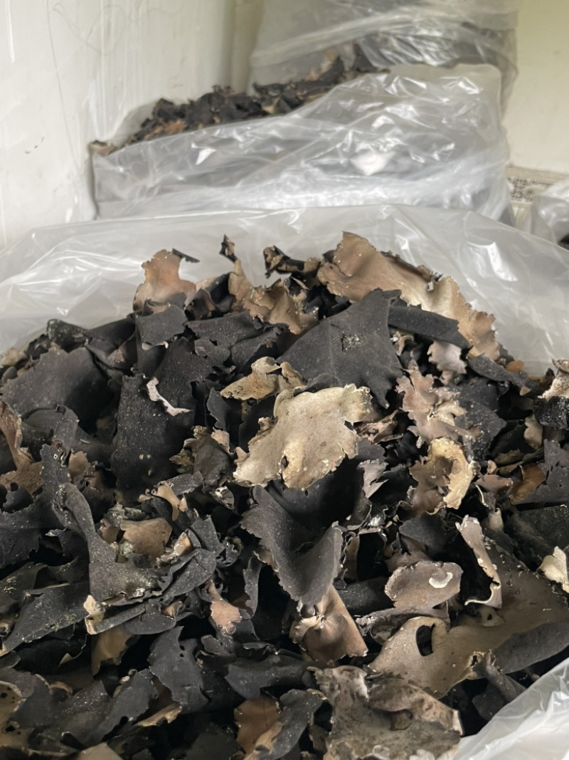 石耳、花皮、砣砣、等