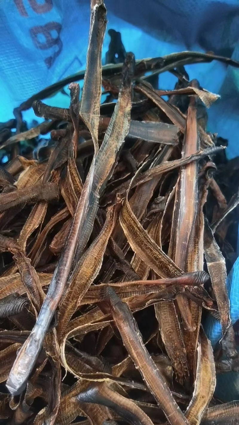 广地龙，一级清水货干净无泥，全部现货，欢迎各位老板来看
