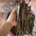 广地龙，一级清水货干净无泥，全部现货，欢迎各位老板来看