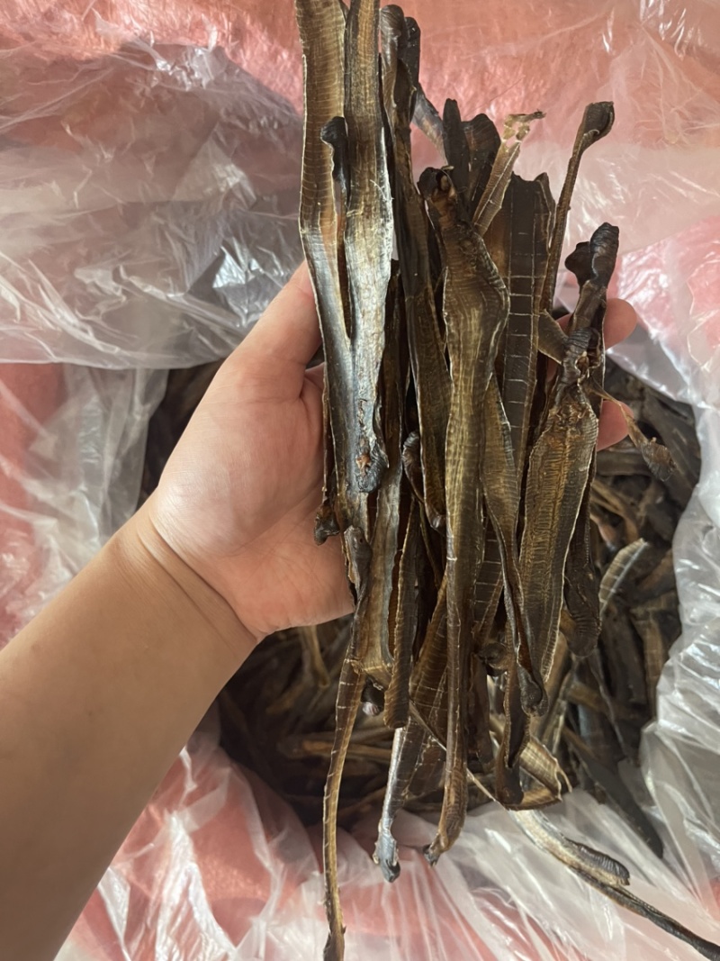 广地龙，一级清水货干净无泥，全部现货，欢迎各位老板来看