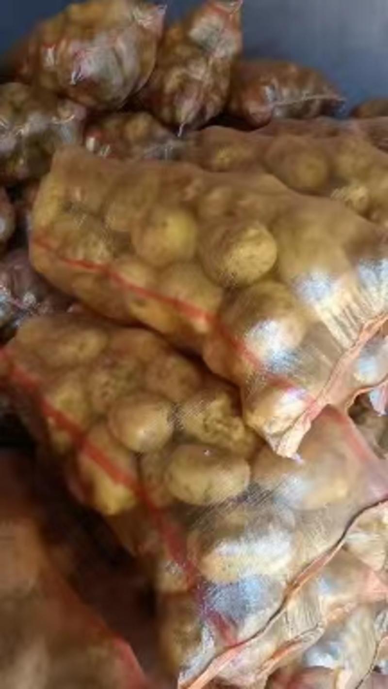 精品沃土5号土豆原产地发货一手货源批发量大价格美丽！