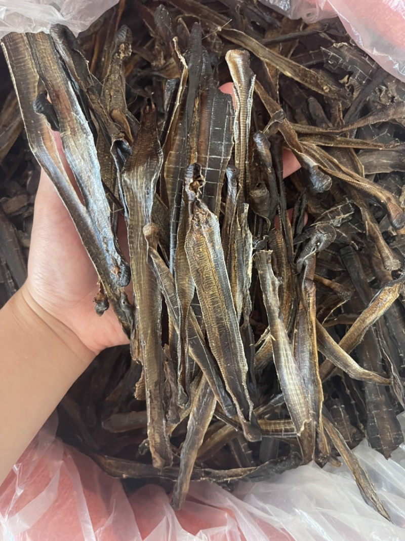 广地龙，一级清水货干净无泥，全部现货，欢迎各位老板来看