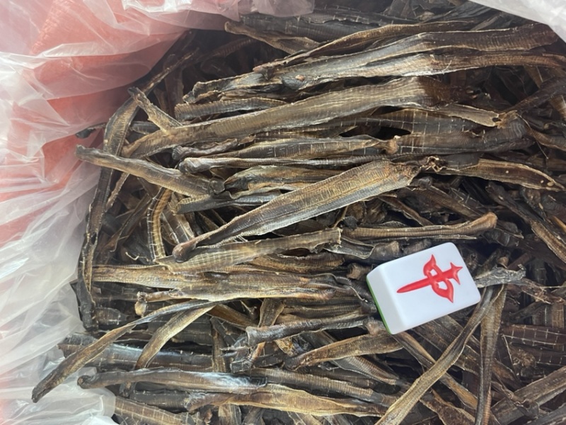 广地龙，一级清水货干净无泥，全部现货，欢迎各位老板来看
