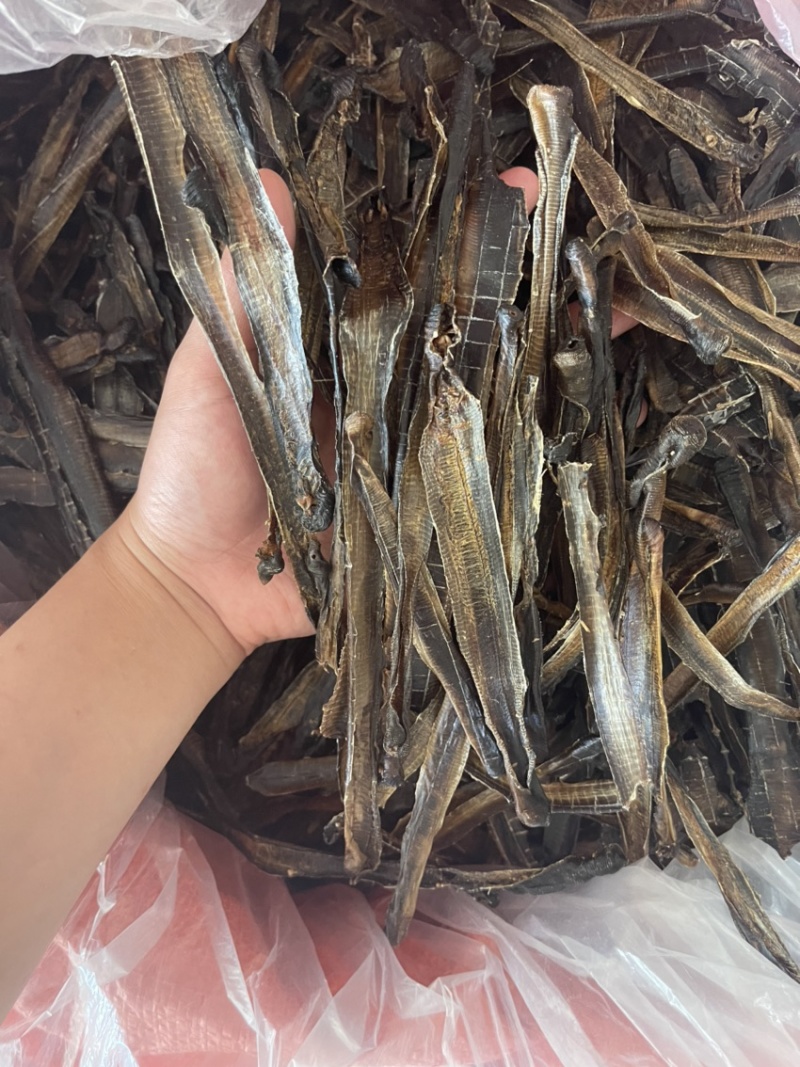 广地龙，一级清水货干净无泥，全部现货，欢迎各位老板来看