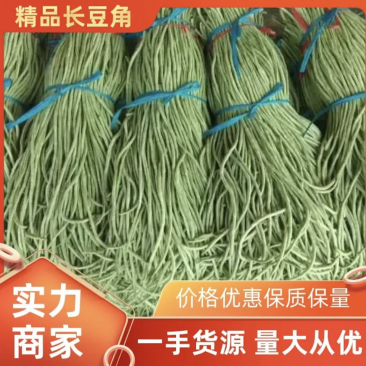 【实力】河南产地长豆角大量新鲜供应，卖相好有品质量大从优