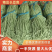 【实力】河南产地长豆角大量新鲜供应，卖相好有品质量大从优