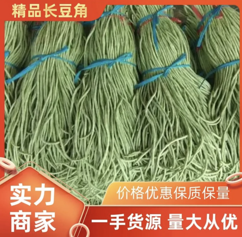 【实力】河南产地长豆角大量新鲜供应，卖相好有品质量大从优