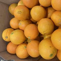 澳洲阳光丑橙黄心橙甜度高汁水多库存充足，适合榨汁零售
