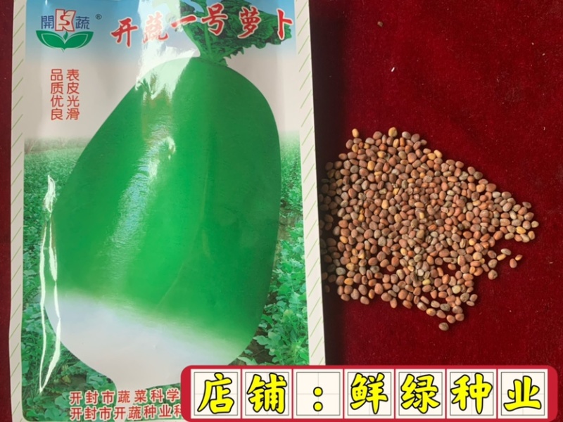丰光一代出土部浅绿色,入土部白色，肉质细嫩抗病能力强