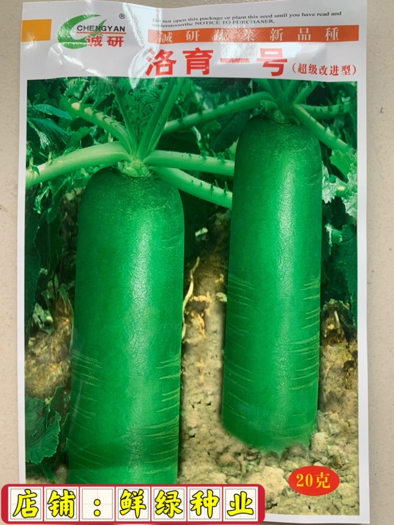 丰光一代出土部浅绿色,入土部白色，肉质细嫩抗病能力强
