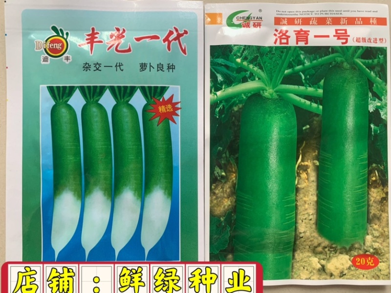 丰光一代出土部浅绿色,入土部白色，肉质细嫩抗病能力强