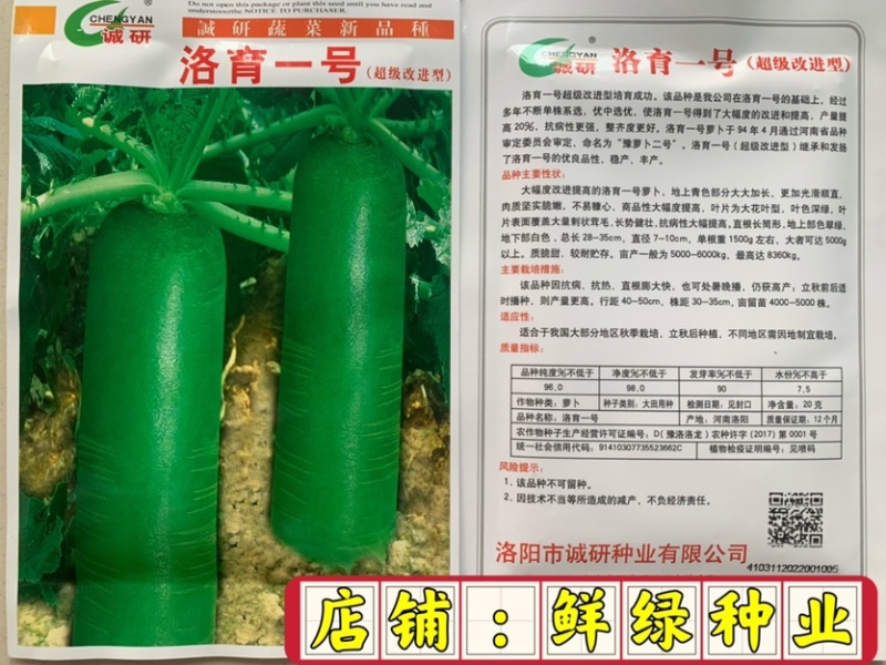 丰光一代出土部浅绿色,入土部白色，肉质细嫩抗病能力强