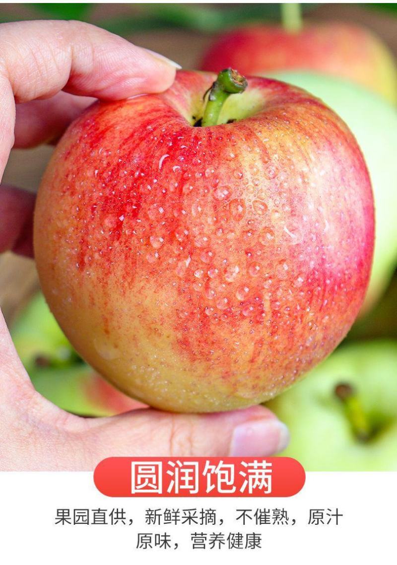 2024新鲜嘎啦美八，华硕，新苹果，一件代发
