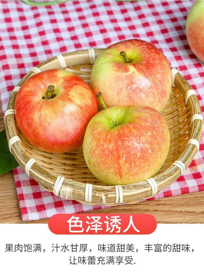 2024新鲜嘎啦美八，华硕，新苹果，一件代发