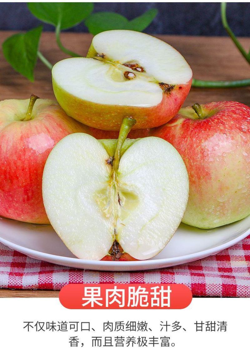 2024新鲜嘎啦美八，华硕，新苹果，一件代发